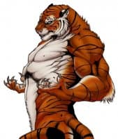 «Tiger» sticker set