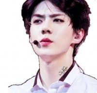 «Sehun» sticker set