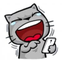 «Meow Zhua Zhua No.1» sticker set