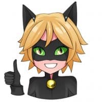 «Ladybug» sticker set