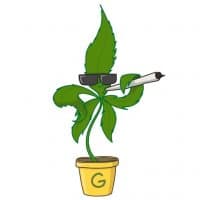 «gerbarij» sticker set