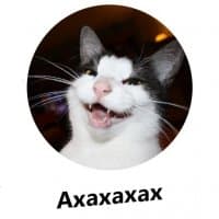 «Catarium» sticker set