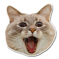 «Kotonchik» sticker set
