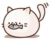 «Round and Pretty Cat» sticker set