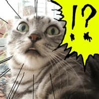 «FunnyCat» sticker set