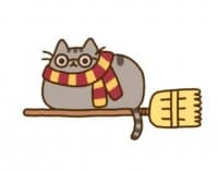 «Pusheen Extended» sticker set