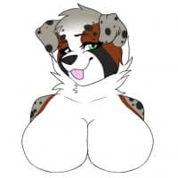 «Kimber The Aussie Shep» sticker set