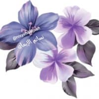 «@nisyimaliimanمن نسائم» sticker set