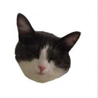 «ohla» sticker set