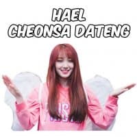 «Roa pristin by @bdmtsm» sticker set
