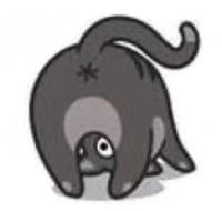 «catass» sticker set