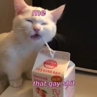 «gay shit» sticker set