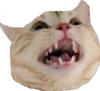 «Kek» sticker set