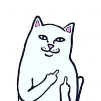 «Ripndip» sticker set