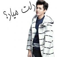 «KrisWu» sticker set