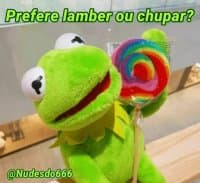 «Kermit, the frog 9 » sticker set