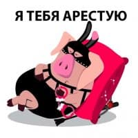 «bdsm_pigs» sticker set