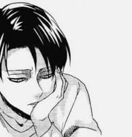 «levi is main ( @mdis_fk )» sticker set