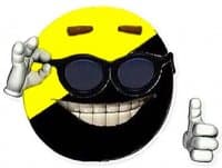 «Ancap» sticker set