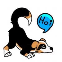 «Taco» sticker set