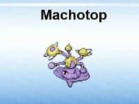 «Pokefusion» sticker set