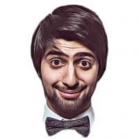 «shevgi» sticker set