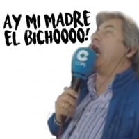 «Aymimadre» sticker set