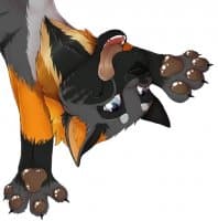 «LuckyFox» sticker set