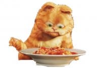 «Garfield» sticker set