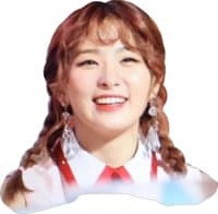 «SeulgiDdeulgi» sticker set