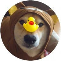 «Doge+» sticker set