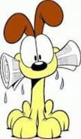 «Odie» sticker set
