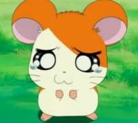 «hamtaro uwu» sticker set
