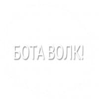 «penguinka» sticker set