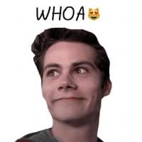 «teen wolf stickers» sticker set