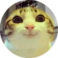 «Pussycat» sticker set