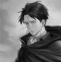 «Levi» sticker set