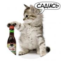 «CW Cats» sticker set