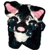 «RCFox» sticker set