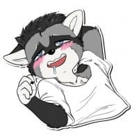 «Bencoonnaughty» sticker set