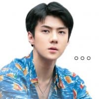 «OSH» sticker set