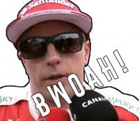 «F1UA» sticker set
