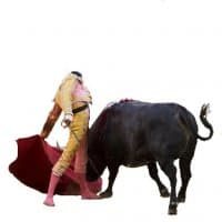 «Tauromaquia» sticker set