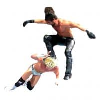«WWE-Moves» sticker set