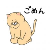 «Nekonaughey» sticker set