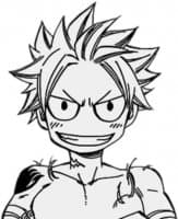 «Natsu» sticker set