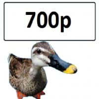 «Duckgogo» sticker set