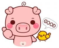 «Pigma» sticker set