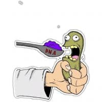 «Microbiology» sticker set