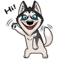 «Husko» sticker set
